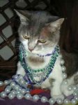 He went to New Orleans.jpg