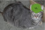 Ellie.jpg