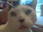 Duncan Tongue.jpg