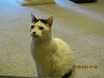 IMG_0684.JPG