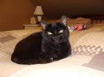 DSC00608.JPG