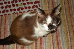DSC09910.JPG