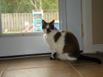 DSC09915.JPG