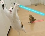 jumping_cats_with_lightsabers.jpg