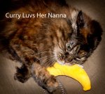 Curry-luvs-her-nanna.jpg