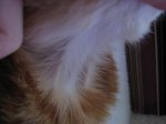 IMG_3072.JPG