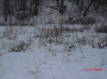 snowblanket.JPG