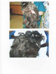 Grandma Marlee 2.jpg