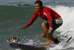 cats-that-surf.jpg