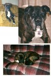 scan0002.jpg