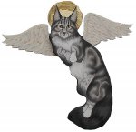 angel cat ga.jpg