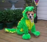 gadzooksgodzilla.jpg