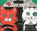 car,cats,cute,drive,driving,kitties.jpg