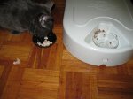 IMG_0618.JPG
