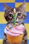 32055-131612-birthdaykittendj7jpg-620x.jpg