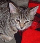 Minnie1.JPG