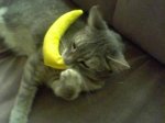 nanner love.jpg