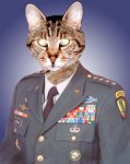 General Kitty.jpg