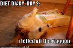 funny-pictures-cat-food-box-diet-diary.jpg