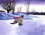 ice-skatingcat.jpg