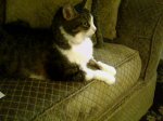 STRIKING A POSE.jpg