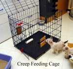 Creep cage copy.jpg