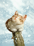 Animated-snow-cute-cat.gif