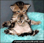 thanks LL from binks.gif