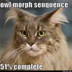 rusty transition.jpg