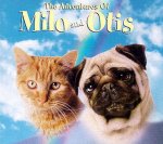 milo and otis.jpg