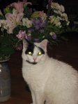 Polly & flowers_2.jpg