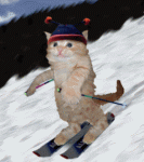 CatSkierDownhill.gif