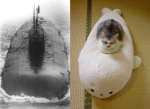 cat-submarine.jpg