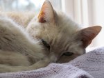 IMG_0027.JPG