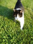 DSC04337.JPG