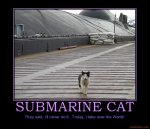 submarine-cat.jpg