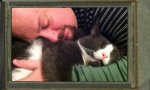 tom and asher.jpg