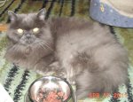 DSC00747.JPG
