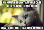 My human bought me a whole case of my favorite food...Now I can't like it anymore (Custom).jpg