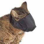 Muzzle-shrunk.jpg