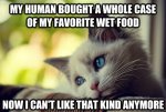 my human bought me a case of my favorite food.jpg