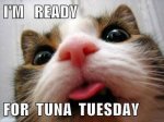tuna tuesday 3.jpg