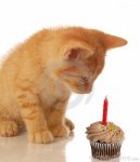 BIRTHDAY.jpg