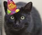 Happy Birthday Chicago Cat Rescue.jpg