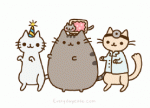Cairo dancing kitty.gif