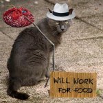 will work for food (Custom).jpg