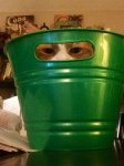 Eddie in a bucket resized.jpg