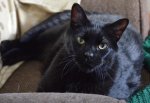 DSC_0467.JPG