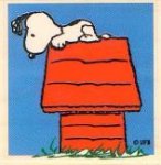 snoopy & doghouse.jpg