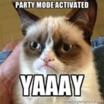cat party.jpg